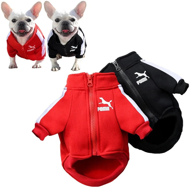 Stylish Jacket for Small & Medium Dogs – Cozy, Trendy, and Perfect for Pups! ⭐⭐⭐⭐⭐