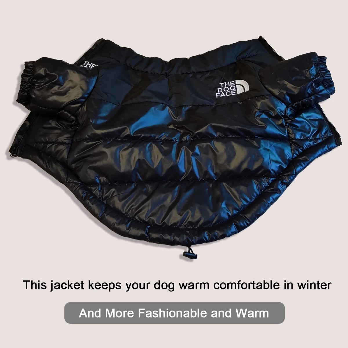 The Dog Face Winter Jacket ⭐️⭐️⭐️⭐️⭐️