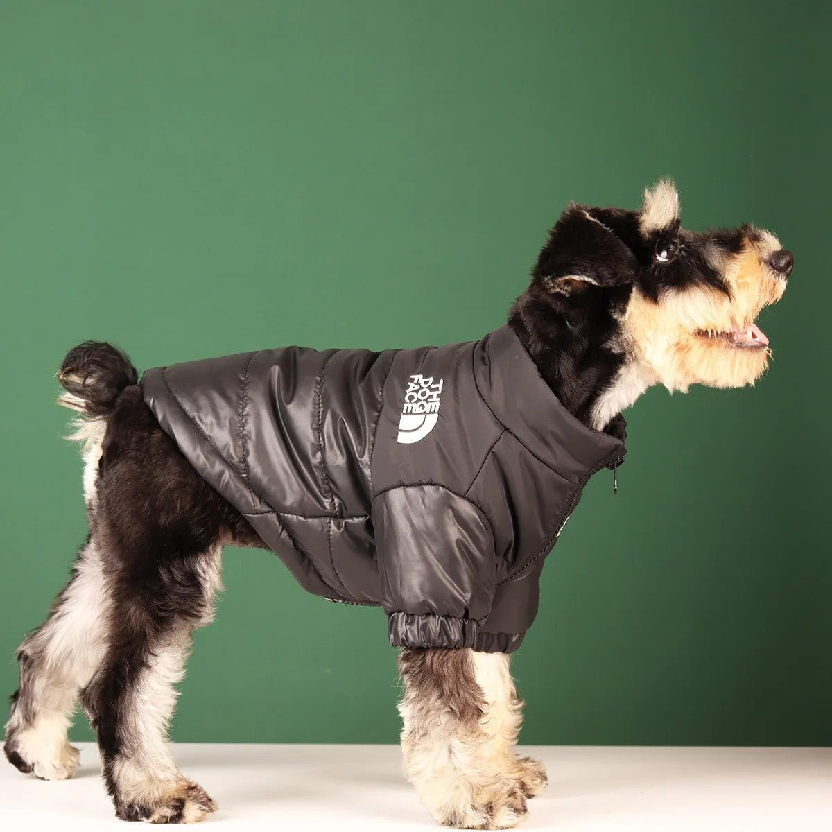 The Dog Face Winter Jacket ⭐️⭐️⭐️⭐️⭐️